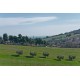 Properties for Sale_Farmhouses to restore_FARMHOUSE TO BE RESTRUCTURED FOR SALE AT FERMO in the Marche in Italy in Le Marche_16